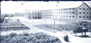 Fremantle Prison, Convict Establishment, Australian Convicts