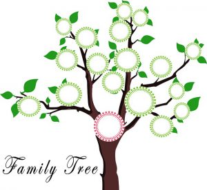 Organise Your Genealogy Research