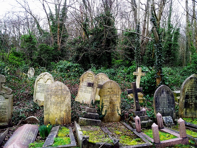 London Cemetery, Family History Holiday