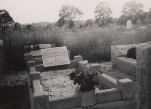 Cemetery Renewal, Karrakatta Cemetery, Perth, WA