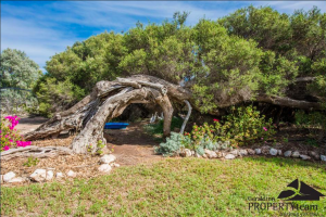 Ironbarks, Greenough - Homestead Vegetation Image Courtesy of Geraldton Property Group