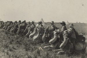 WWI Members of the Australian Imperial Camel Corps preparing to mount