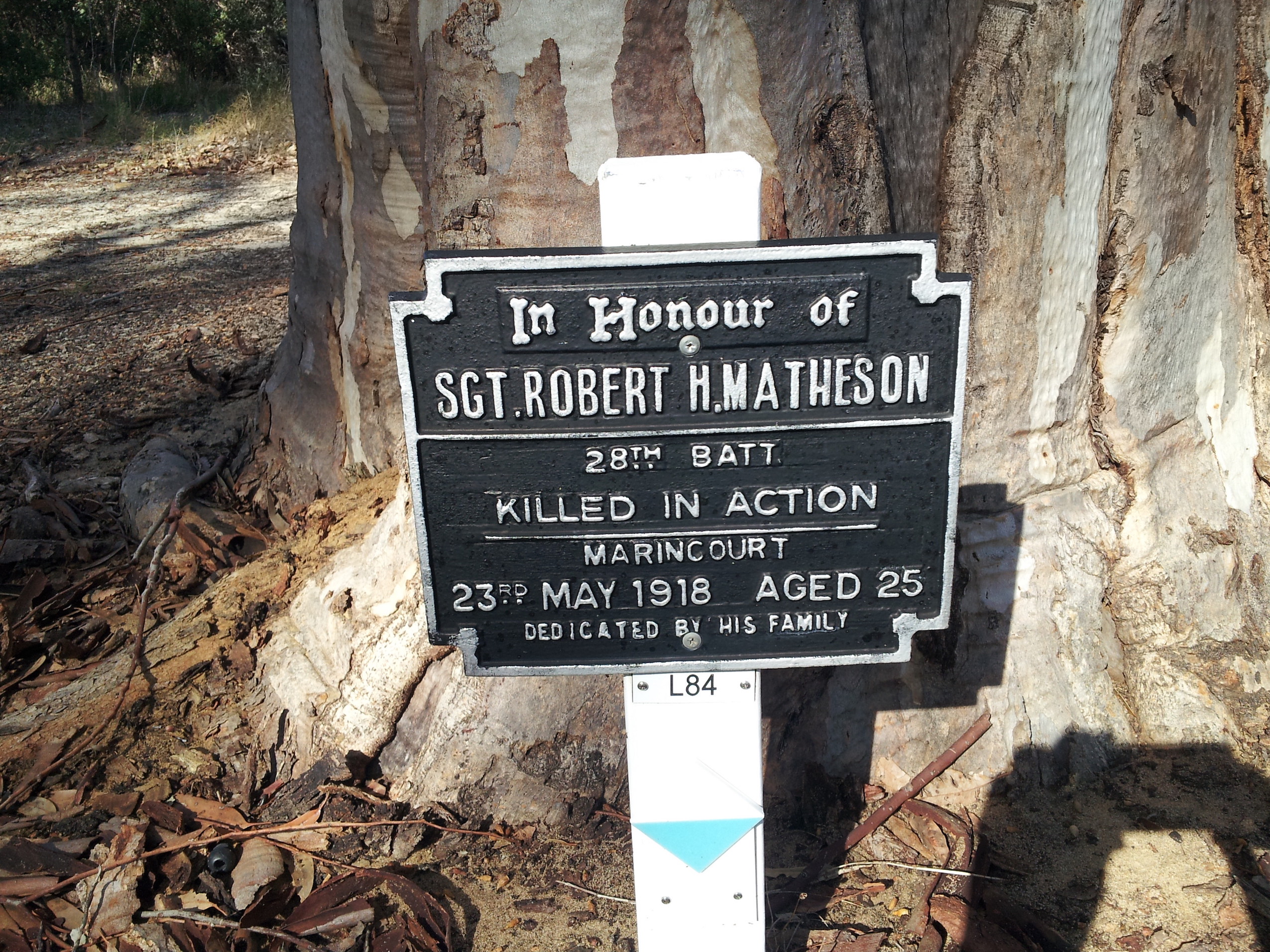 MATHESON Robert Hilton WW1 Memorial Kings Park, Perth, Western Australia