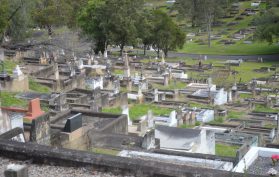 Toowong Cemetery Rolling Hills
