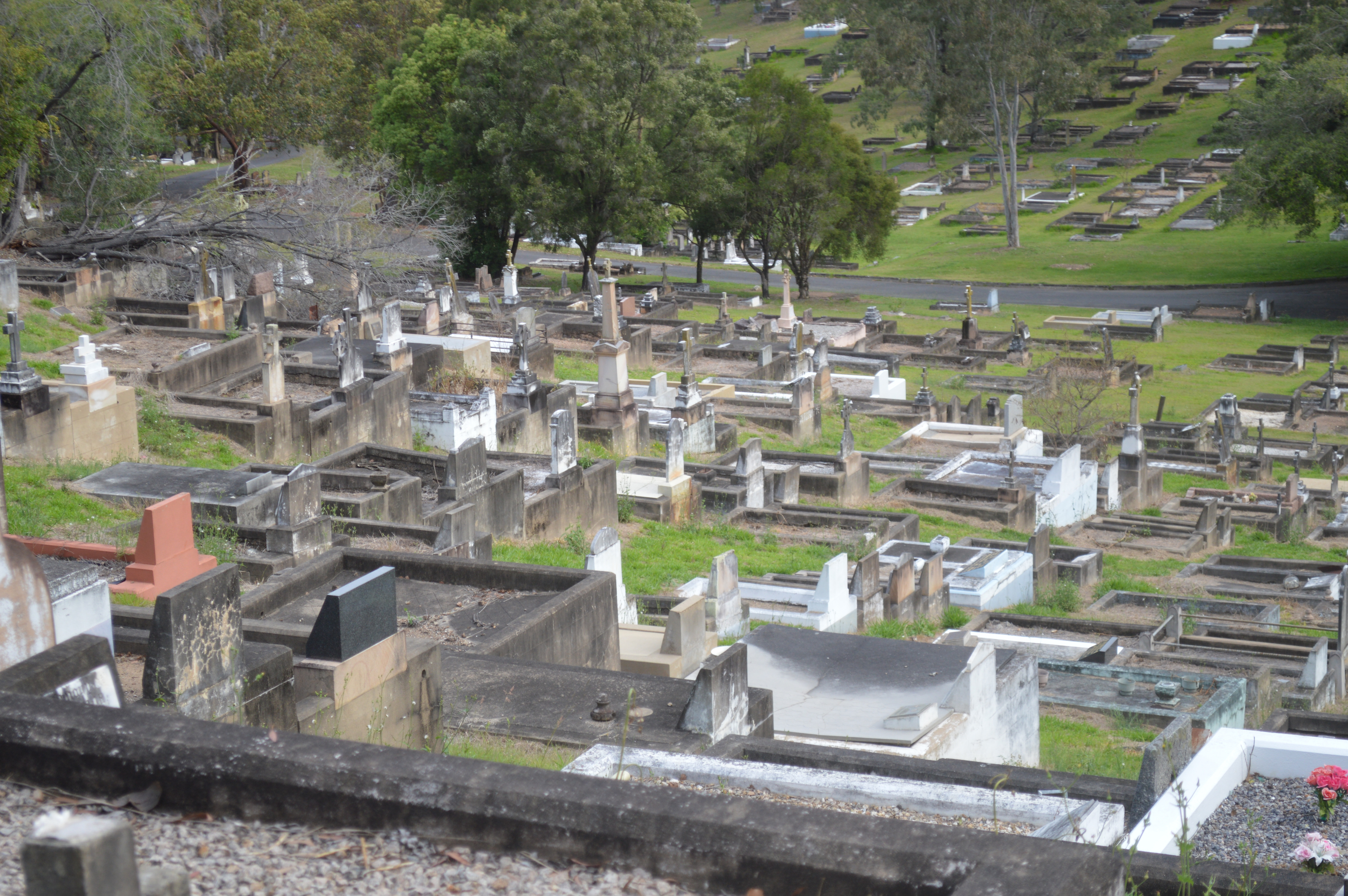 Toowong Cemetery Rolling Hills