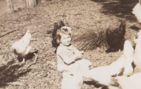 1946 Mt Helena, WA Deal Street Mum and Chickens