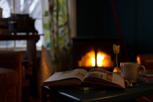 Reading by the Fire 52 Ancestors in 52 Weeks Week 49 Winter