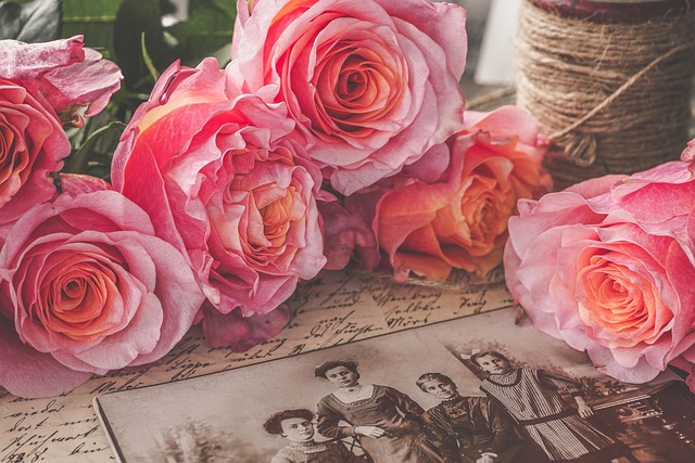 Family history, genealogy on a budget, Ancestry.com, Findmypast, FamilySearch, research
