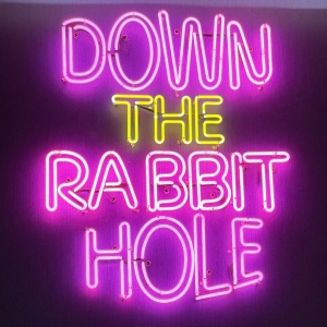 down the rabbit whole
