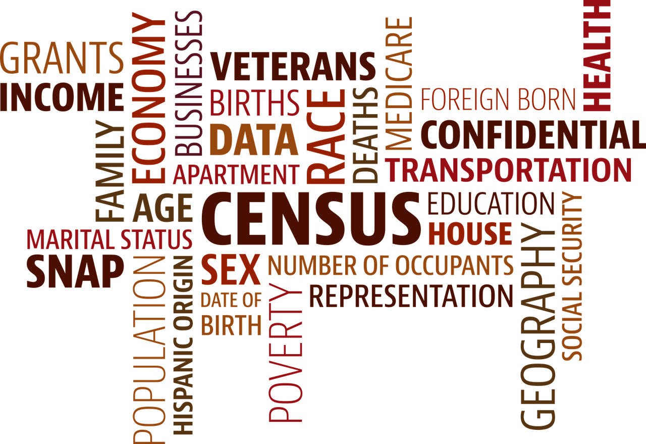 Census word cloud